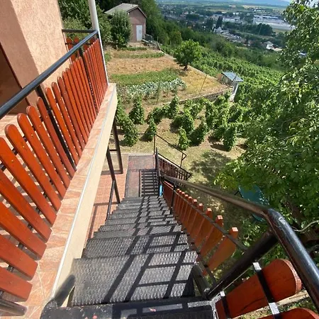 Feher Szolo Vendeghaz *