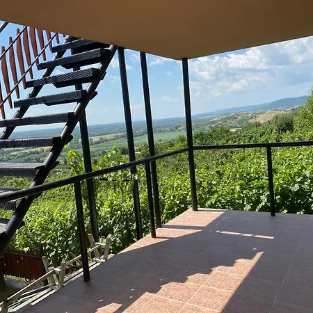 Feher Szolo Vendeghaz Sátoraljaújhely