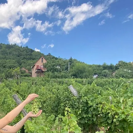 Feher Szolo Vendeghaz Lägenhet