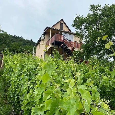 Apartamento Fehér Szőlő *